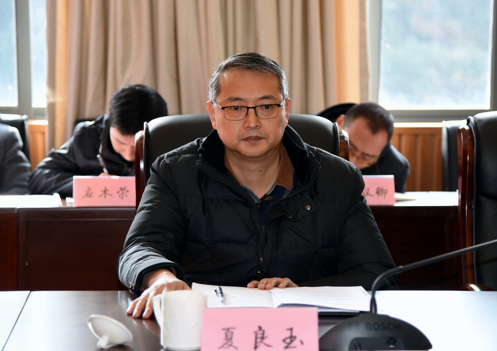 党委副书记夏良玉宣读党委决定